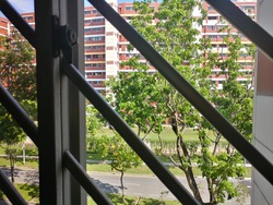 Blk 416 Hougang Avenue 10 (Hougang), HDB 5 Rooms #171672012